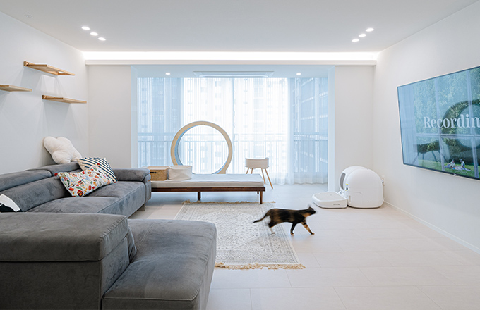 세 마리 고양이를 위한 32평아파트 펫테리어 | 인테리어 리모델링