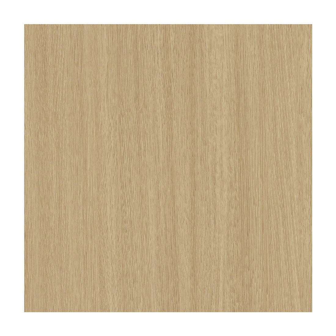 프렌치오크 / PW-21