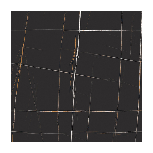 사하라 누아르 / MFB-500