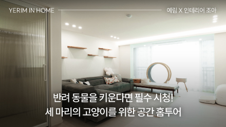 반려 동물을 키운다면 필수 시청! 세 마리의 고양이를 위한 공간 홈투어 ｜ 예림 X 인테리어 조아